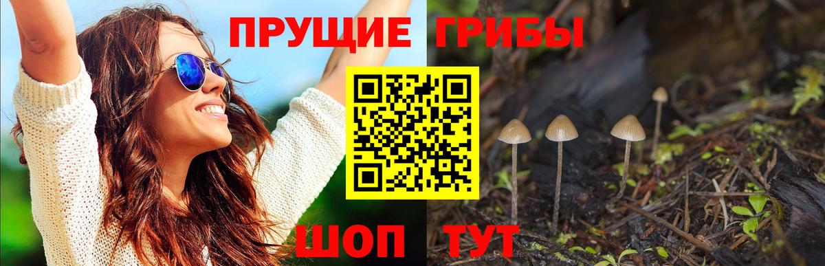 Псилоцибиновые грибы прущие грибы  Вход с VPN  Знаменск 